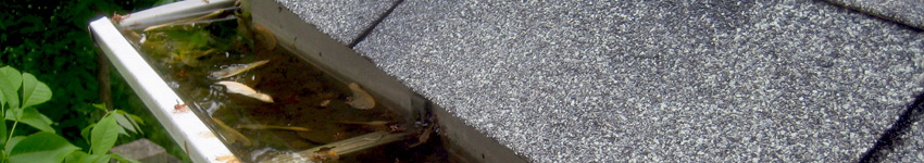 Roof gutter repair